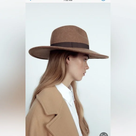 Zara | Accessories | Zara 0 Wool Taupe Brown Classic Felt  display picture 2